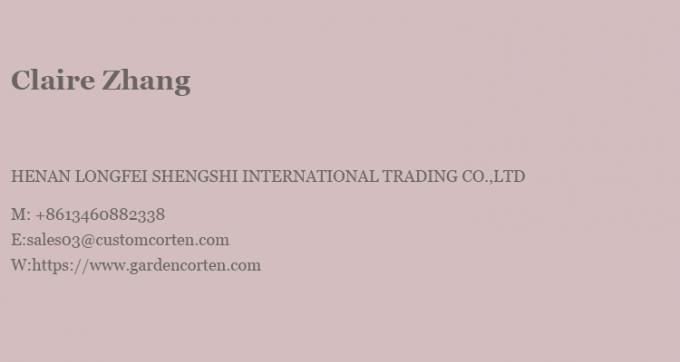 Hangende houten zwarte open haard brandende dakkamin binnen staal op maat 26